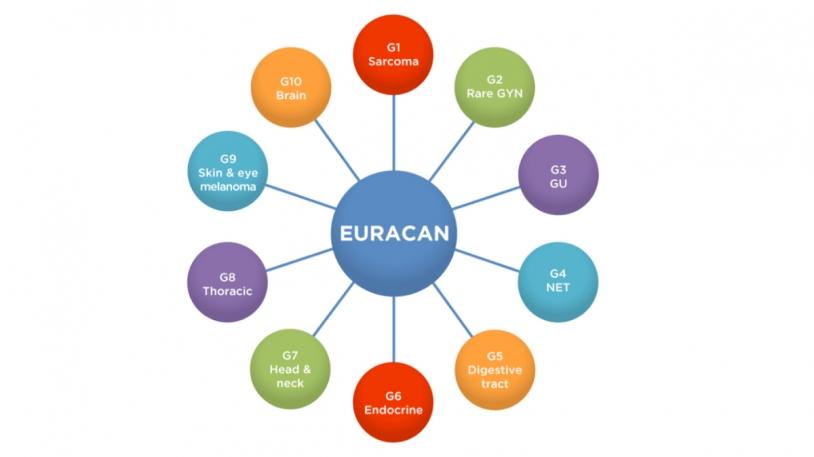 Grafik der zehn Domänen des EURACAN Netzwerks 