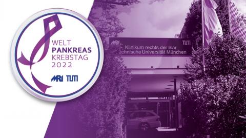 Lila Werbebutton des Weltpankreaskrebstages