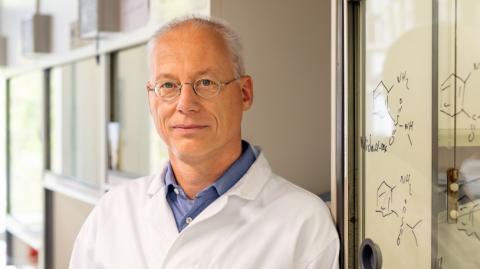 Prof. Dr. Bernhard Küster 